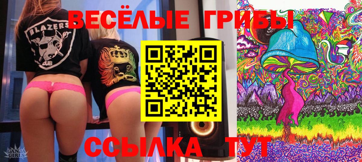 Псилоцибиновые грибы Psilocybine cubensis Касимов